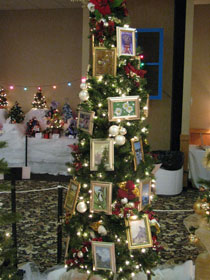 Festival of Trees 2011